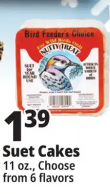 Ocean State Job Lot Suet Cakes offer