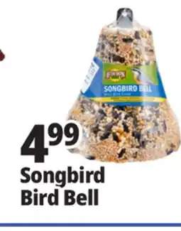 Ocean State Job Lot Audubon Park Songbird Bell Wild Bird Food 15.5 oz offer