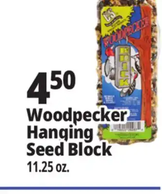 Ocean State Job Lot C&S Woodpecker Brick 11.25 oz offer