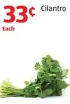 Aldi Cilantro offer