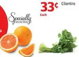 Aldi Cilantro offer