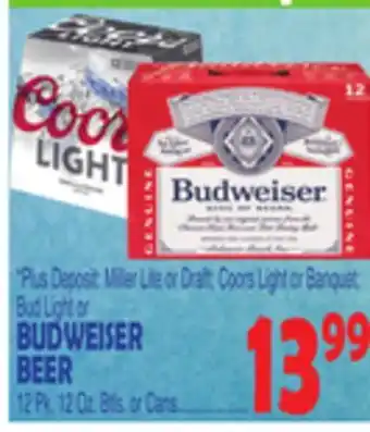 Bravo Supermarkets BUDWEISER BEER offer