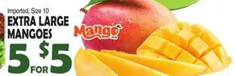 Bravo Supermarkets EXTRA LARGE MANGOES offer