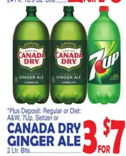 Bravo Supermarkets CANADA DRY GINGER ALE offer