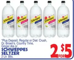 Bravo Supermarkets SCHWEPPES SELTZER offer