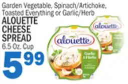 Bravo Supermarkets ALOUETTE CHEESE SPREAD offer