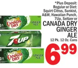 C Town CANADA DRY GINGER ALE offer