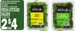 C Town FRESH ATTITUDE SALADS offer