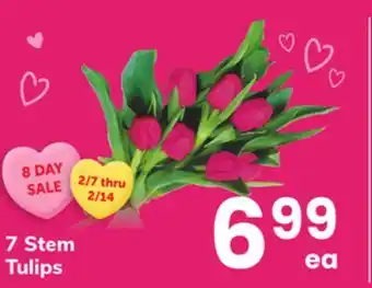 ACME 7 Stem Tulips offer