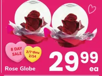 ACME Rose Globe offer