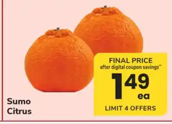 ACME Sumo Citrus offer