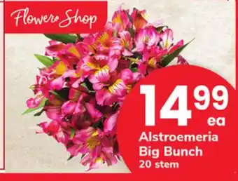 ACME Alstroemeria Big Bunch offer