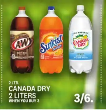 Kings Food Markets CANADA DRY offer