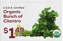 DeCicco & Sons Organic Bunch of Cilantro offer