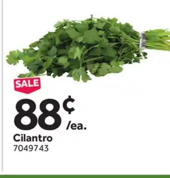 Stop&Shop Cilantro offer