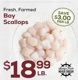 DeCicco & Sons Bay Scallops offer