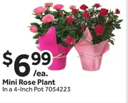 Stop&Shop Mini Rose Plant offer