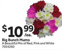 Stop&Shop Big Bunch Mums offer