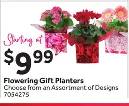 Stop&Shop Flowering Gift Planters offer