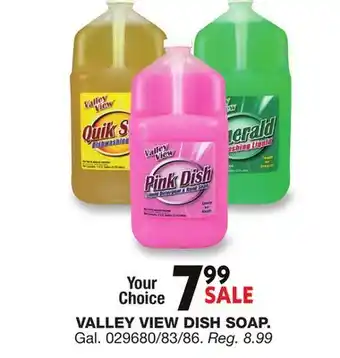 Blain's Farm & Fleet VALLEY VIEW DISH SOAP offer