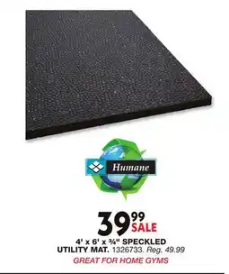 Blain's Farm & Fleet Humane 4' x 6' x ¾ SPECKLED UTILITY MAT offer