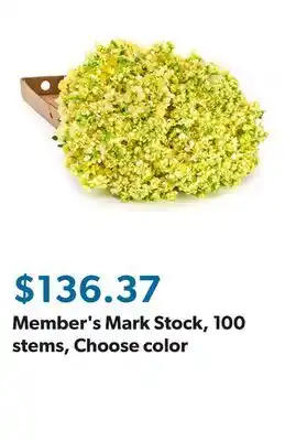 Sam's Club Member's Mark Stock, 100 stems, Choose color offer