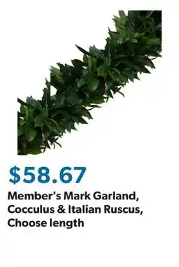 Sam's Club Member's Mark Garland, Cocculus & Italian Ruscus, Choose length offer