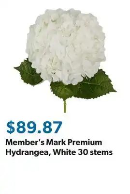 Sam's Club Member's Mark Premium Hydrangea, White 30 stems offer