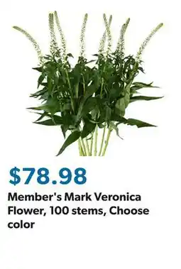 Sam's Club Member's Mark Veronica Flower, 100 stems, Choose color offer