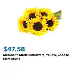 Sam's Club Member's Mark Sunflowers, Yellow, Choose stem count offer