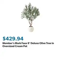 Sam's Club Member's Mark Faux 8' Deluxe Olive Tree in Oversized Cream Pot offer