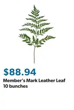 Sam's Club Member's Mark Leather Leaf 10 bunches offer