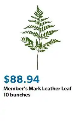 Sam's Club Member's Mark Leather Leaf 10 bunches offer