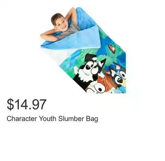 Costco Character Youth Slumber Bag offer