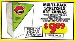 Ollie's MIKE'S MULTI-PACK STRETCHED ART CANVAS offer