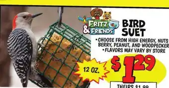 Ollie's FRITZ & FRIENDS BIRD SUET offer