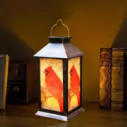 Walmart syenll Plastic Solar Powered Hanging Lanterns, LED Cardinal Lights Waterproof offer