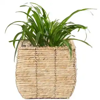 Walmart Foro Square Beige and Tan Sea Grass Wicker Woven Planter offer