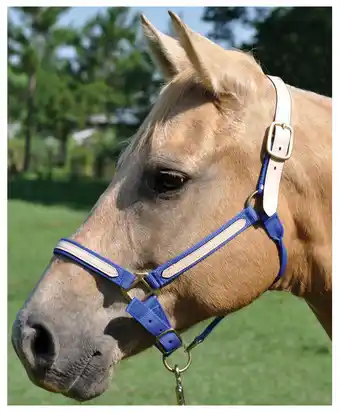 Walmart Tough 1 Double Ply Nylon Break Away Horse Size Halter Single Ply Leather Purple offer