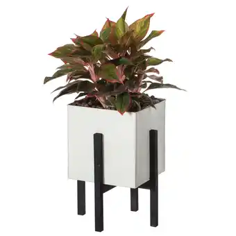 Walmart Indoor and Outdoor White Iron Planting Box with Black Wooden Frame offer