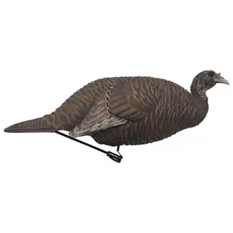 Walmart Wildgame Innovations ft Thunder Breeder Hen Turkey Decoy offer