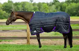 Walmart TuffRider Kozy Komfort Stable Blanket Black 84 offer