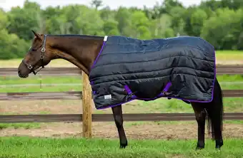 Walmart TuffRider Kozy Komfort Stable Blanket Black 84 offer