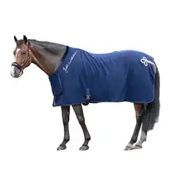 Walmart John Whitaker Chelsea Standard-Neck Horse Show Rug offer