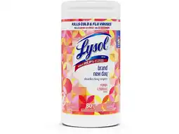 Walmart Lysol Brand New Day Disinfecting Wipes - Mango Scent - 80/Canister - 6/Carton 97181CT offer