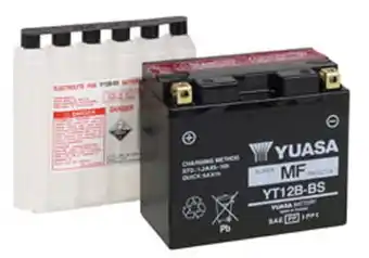 Walmart Yuasa Maintenance Free AGM 12 Volt Automotive Battery, 210 CCA offer