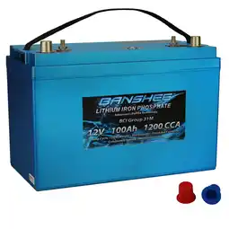 Walmart LiFeP04 12V Deep Cycle Battery 100Ah 12V with Built-In BMS - Perfect for RV Camper, Marine offer