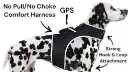 Walmart Mini Quad Band Waterproof Pet GPS Tracker Rechargeable GSM GPRS System Size:M offer