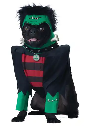 Walmart Frankenpup Dog Costume offer