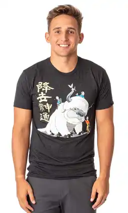 Walmart Avatar The Last Airbender Men's Appa Aang Katara And Sora Group T-Shirt (LG) Adult offer